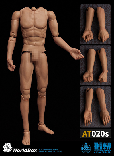 Мужское тело с бесшовными руками - КОЛЛЕКЦИОННАЯ ФИГУРКА 1/6 one-piece forearm of the body (AT020s) - Worldbox