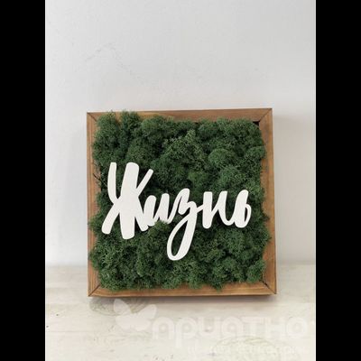 ЖИВАЯ ЭКО-КАРТИНА 1059