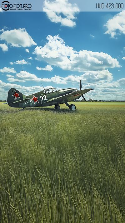 Фотофон виниловый «Винтовой на поле»