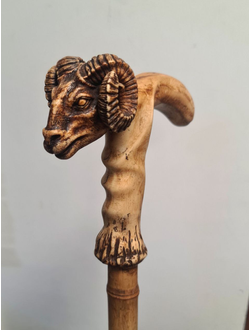 Трость Овен