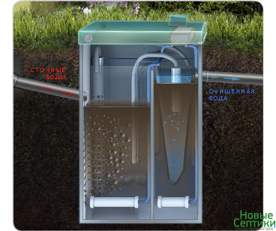 АСТРА - 6 Миди Емк.