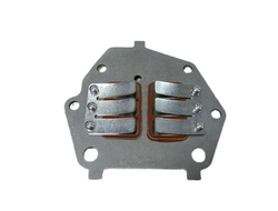 Клапан лепестковый BAIKAL 9.8 л.с.