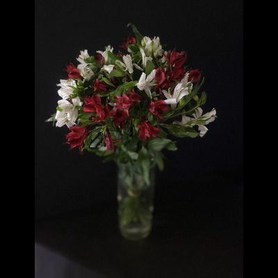 Альстромерия 9 шт