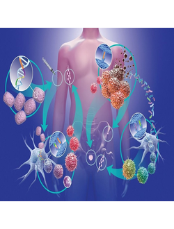 Для иммунитета