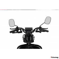 Пассажирский трицикл WHITE SIBERIA SIBTRIKE R 2000W