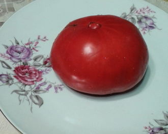 Семена томата Бабушка Боуз