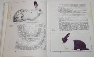 Минина И.С., Майоров А.И. Все о кроликах. М.: Агропромиздат. 1988г.