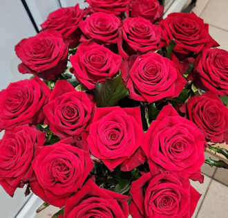 Роза Россия красная