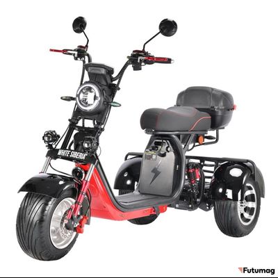Электроскутер WHITE SIBERIA Pro Trike Трицикл 3000W Черный