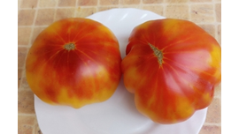 Удивительная благодать, Амазинг грейс