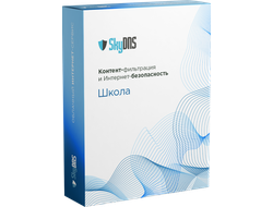SkyDNS.Школа, 1 год, 30 ПК