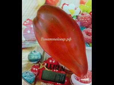 Томат Кубинский перцевидный