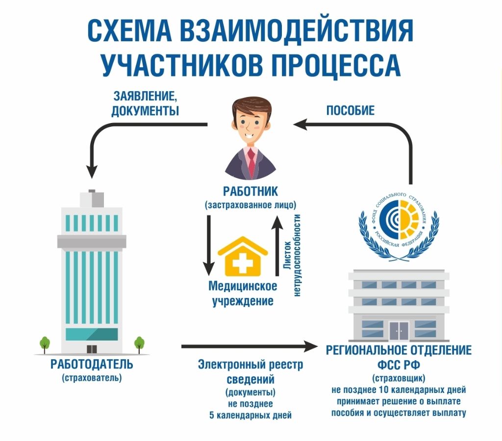 Услуги - Пилотный проект ФСС 
