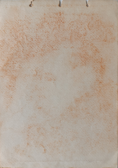 "Портрет" бумага сангина Соколов Н. 1950-е годы