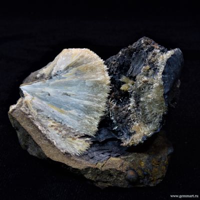 Барит на псиломелане в полости ракушки. 50*50*42мм