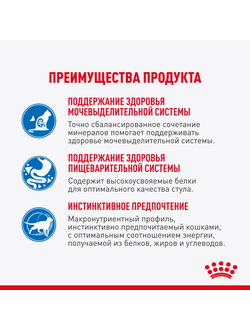 Royal Canin (Роял Канин)  Indoor Sterilised Влажный корм (пауч) для стерилизованных кошек, живущих в помещении, кусочки в соусе, 85 г