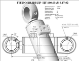 Гидроцилиндр отвала ЦГ-100.63х310.17-02