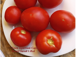 Томат Гном Красный Сары (Dwarf Sarah's red tomato)