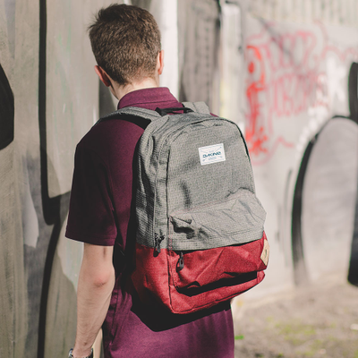 Рюкзак Dakine 365 Pack 21L Willamette с доставкой по России