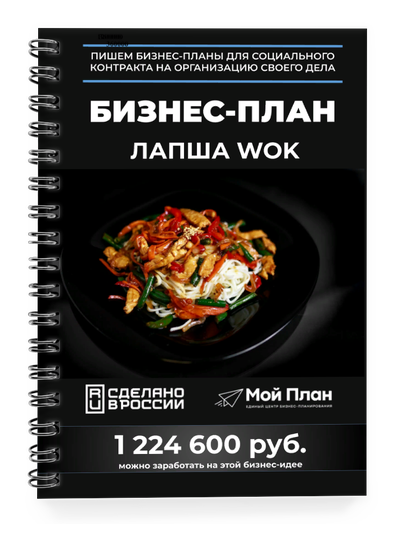 Бизнес-план для социального контракта в 2022 г. Ниша: Китайская лапша WOK. Форма: ИП.