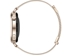 Huawei Watch GT 6 41mm (55020FVW) Золотой