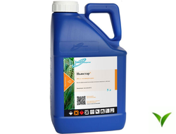 Ньюстар КЭ 5 л