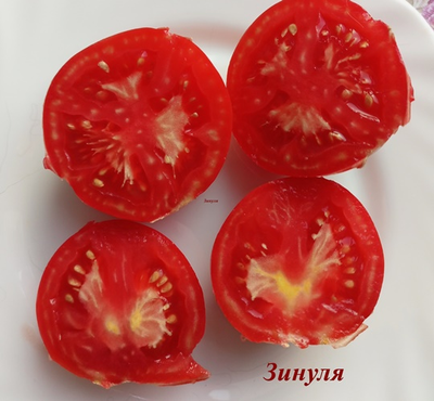 Томат Зинуля