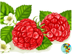 Конфитюр "Малиновый" БЕЗ КОСТОЧКИ деликатесный, 500 гр.