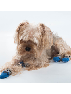 Носочки для собаки Мишка