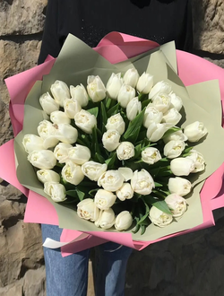45 белых тюльпанов