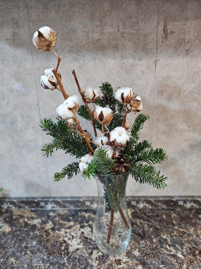 Хлопок и хвоя в вазе