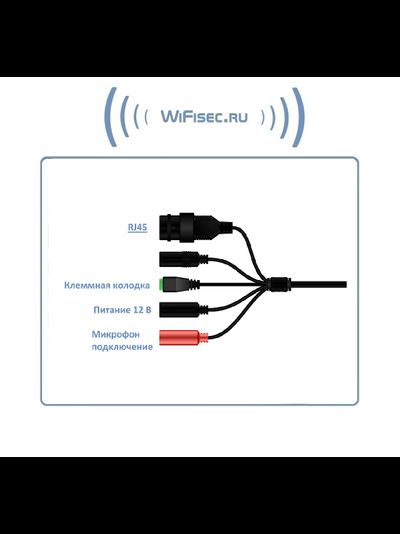 WiFi/LAN видеокамера с DVR и выходом для подключения микрофона, Full HD 2 Mp