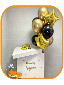 Коробка с индивидуальной надписью и 10 Шариков