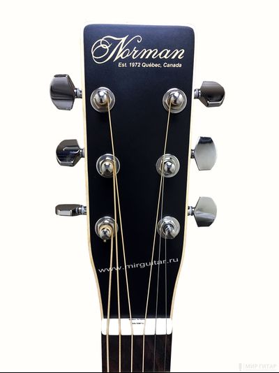 Norman Protege B18 Cedar