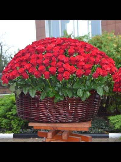 301 РОЗА В КОРЗИНЕ