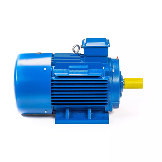 Электродвигатель 5АИ 200L6 (30 кВт) IM 1001