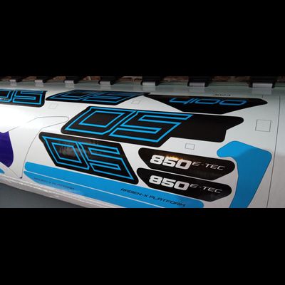 Копия заводских наклеек Lynx BOONDOCKER DS 3900 2017#3023