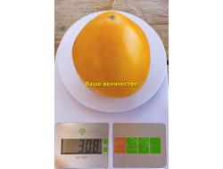 Томат Ваше величество