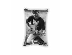 Подушка Сектор Газа, Юрий Хой №14