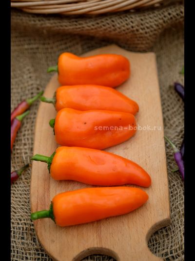 Перец сладкий Апельсин, 10 шт