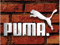 Кроссовки мужские Puma