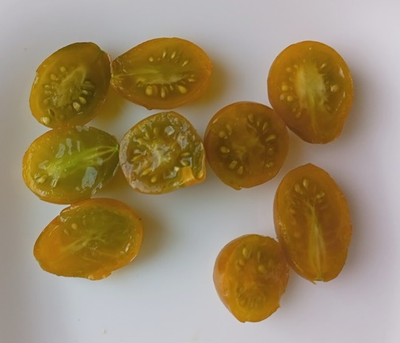 Томат черри Янтарные клавиши (Amber Keyes), США