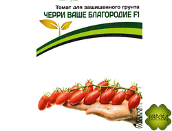 Томат "Черри Ваше благородие" (высокорослый, кисть с 30-50 плодами)