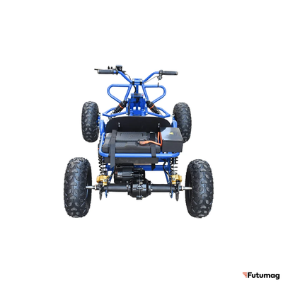 Электрокарт Skyboard Karting Krasnodar 1000W синий