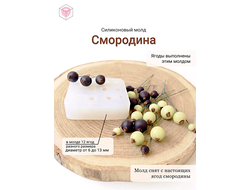Силиконовый молд "Смородина "