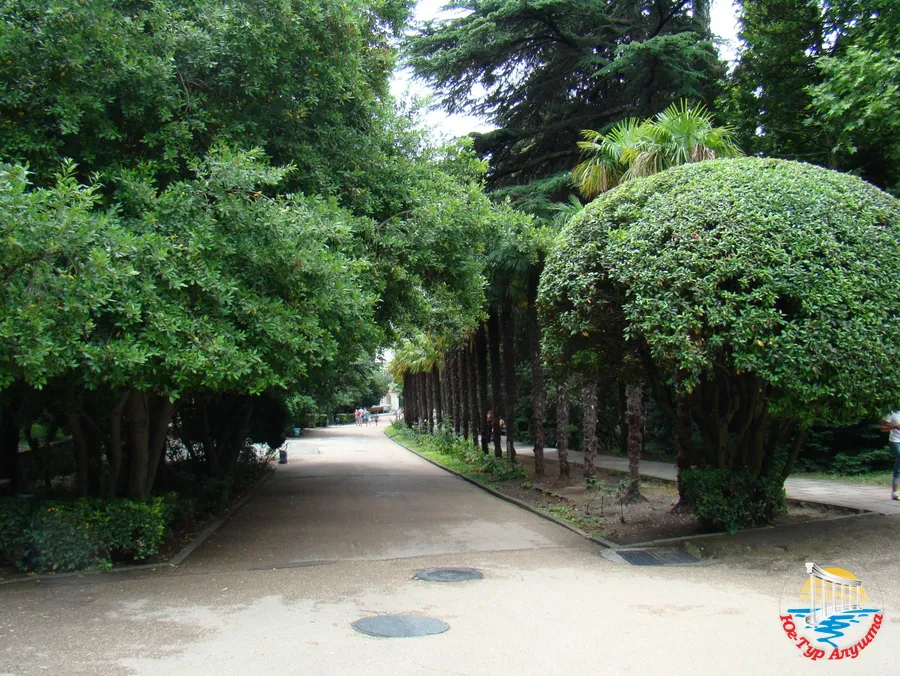 Парк в Гурзуфе