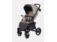Коляска прогулочная Rant Basic Alpine 2024 Beige