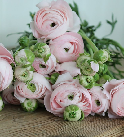 Молд "Ранункулюсы"