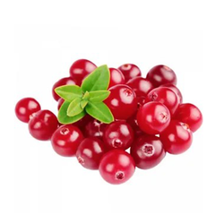 Клюква Лесная