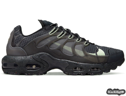 Nike Air Max Tn Plus зима